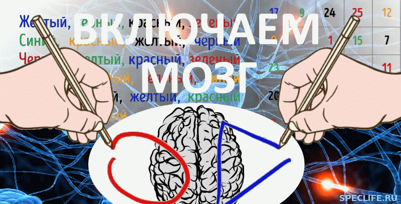 Включаем мозг - упражнения для трезвого ума и ясной памяти
