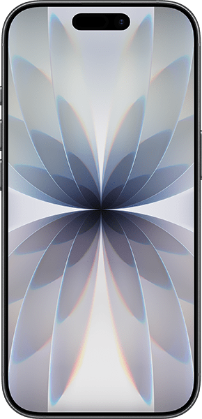Apple iPhone 17 Black