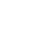 WalesDev.com Logo