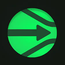 Wayin Video logo