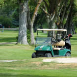 A golf cart is parked on the grass near a tree-lined golf course with a person on a golf cart in the foreground.