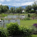 a view of a pond and a grassy area with a wooden fence and a bench in the foreground at Michealbrook Golf Course in Kelowna.