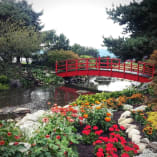A red bridge over a small pond surrounded by flowers and trees, with another red bridge in the background at The Harvest Golf Club in Kelowna.