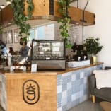 a coffee shop with a counter with a coffee machine on top of it and a plant hanging from the ceiling