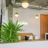 an office with a plant in the middle of the room and a large mirror on the wall above the desk