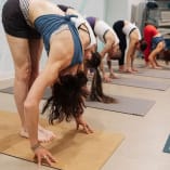 a group of people standing in a line on yoga mats doing a handstand in a yoga studio