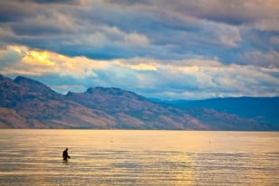 A person wades in a calm lake with distant, partially cloud-covered mountains in Kelowna at sunset.