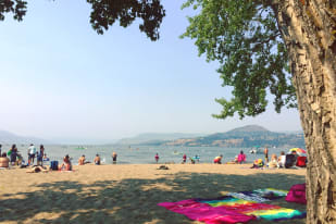 A beach in Kelowna with people relaxing on the sand, swimming in the water, and trees providing shade.