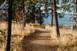 Walking trail through Dilworth Mountain Park