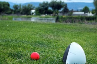 a red and white ball and a white and black racket on a green field with a tree in the background at Michealbrook Golf Course, Kelowna