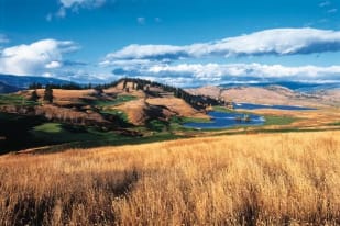 a grassy field with a lake in the middle of it and a mountain in the distance with clouds in the sky at Predator Ridge Golf Resort in Vernon