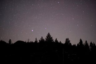 Forest outline on a starry night sky off of Clearwater Lake in Wells Gray Provincial Park