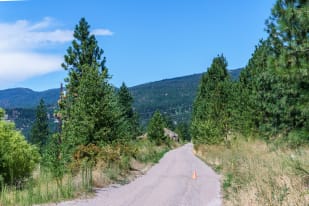 A dirt path lined with green trees and grass leads into the forested hills of Penticton, under a clear blue sky.