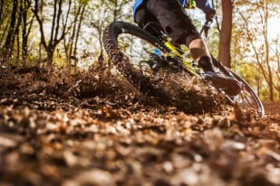 A mountain biker kicks up a spray of leaves and dirt while riding through a forest trail on a sunny day.