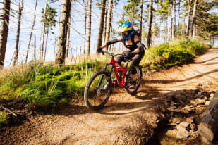 A cyclist in protective gear and a colorful helmet rides a mountain bike on a forest trail.