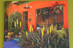 Colorful exterior of a Mexican restaurant with vibrant plants and cacti in front of an orange wall in Kelowna.