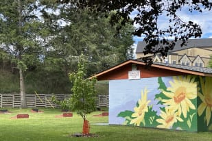 A shed with a bright mural of sunflowers at the Summerland Horseshoe Club, surrounded by trees and a grassy area with horseshoe pits.