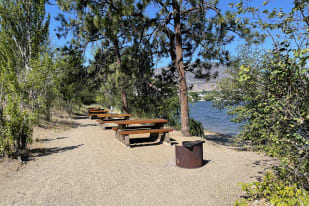 A scenic lakeside trail in Osoyoos with several wooden picnic tables and shaded by pine trees, overlooking the water and distant mountains.