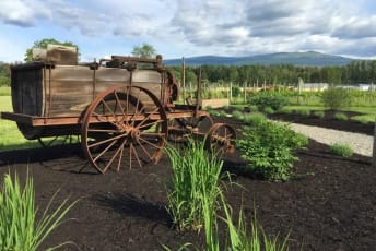 an old wooden wagon sitting on top of a dirt field next to a field of green grass and flowers at Sperling Vineyards in Kelowna