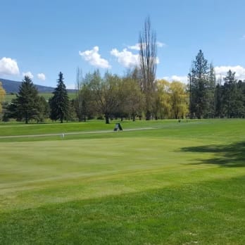 a view of a golf course from a distance with trees in the foreground and a person on the far side of the green.