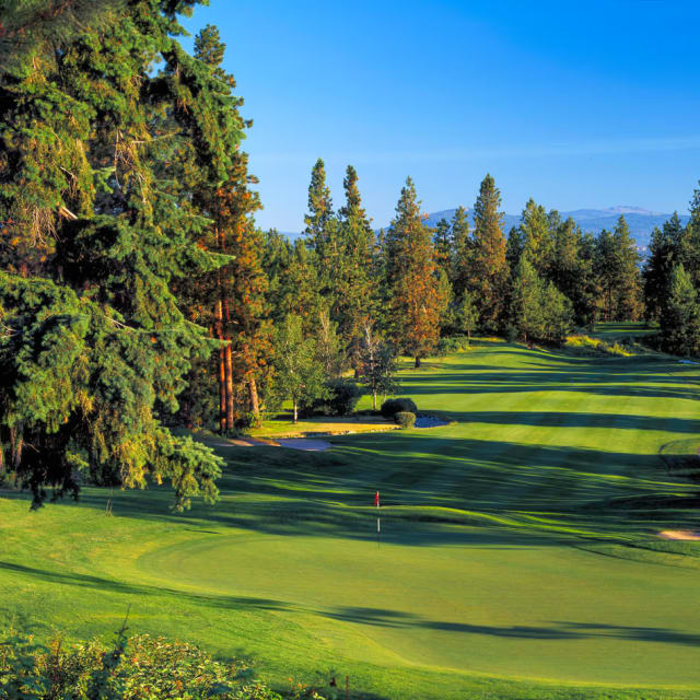 A green golf course surrounded by pine trees at Gallagher's Canyon Canyon Course in Kelowna.