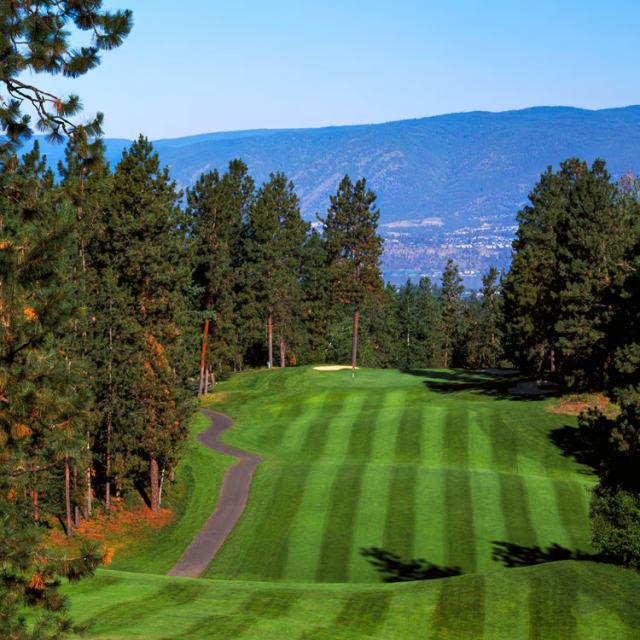 A scenic view of the Gallagher's Canyon Canyon Course in Kelowna featuring a lush green fairway bordered by tall trees with a mountainous backdrop.
