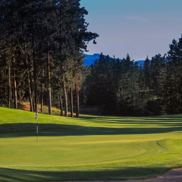 A view of a lush, green golf course surrounded by tall trees at Gallagher's Canyon Canyon Course in Kelowna.