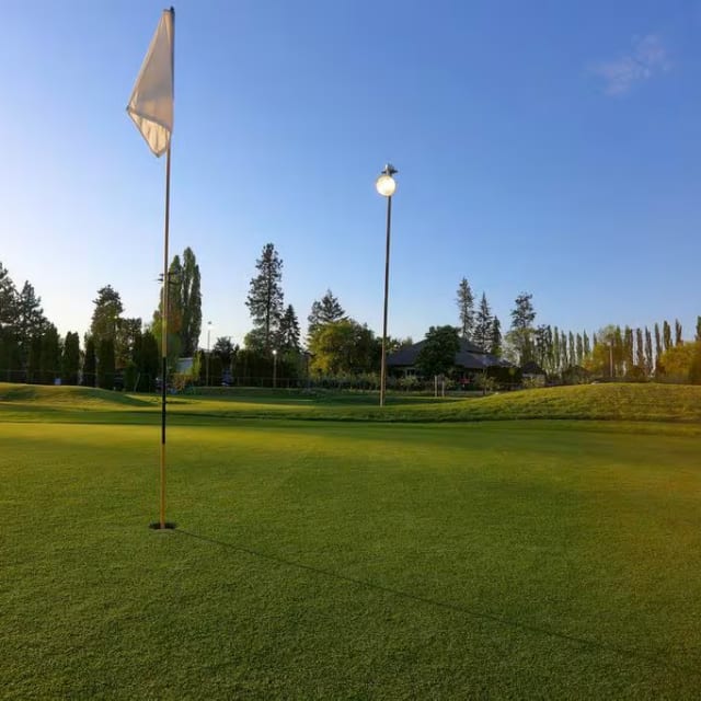 a view of a golf course with a flag and a light pole in the foreground and trees in the background