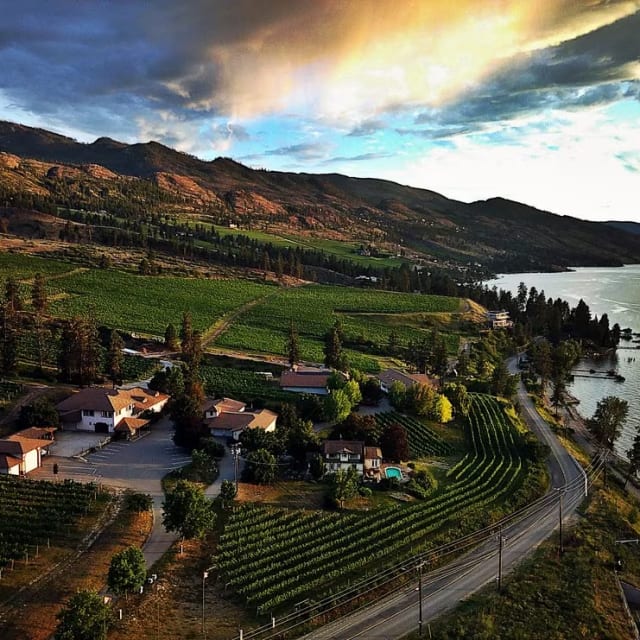 an aerial view of a vineyard and a lake in the distance with mountains in the distance and clouds in the sky
