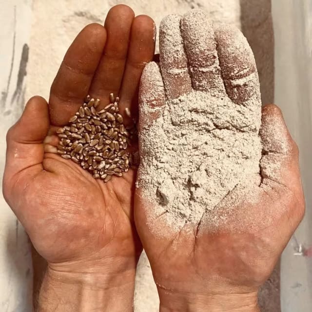 a person holding a handful of sand and seeds in their hands.