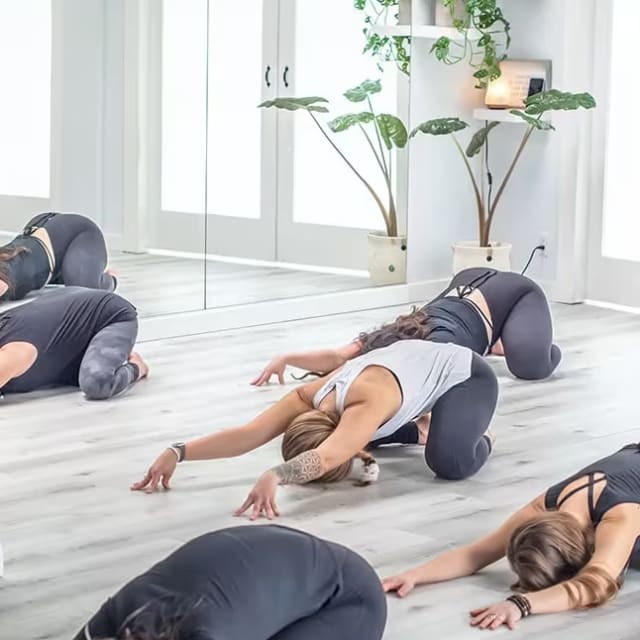 a group of women doing yoga poses in a room with a mirror and a potted plant in the middle of the room