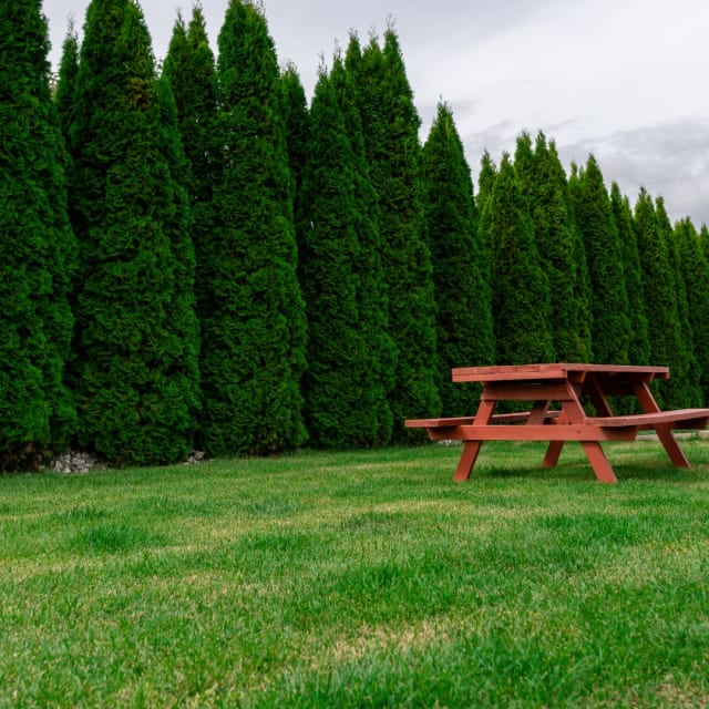Red picnic table on green grass near tall coniferous trees at Orchard Valley RV Park in Kelowna.