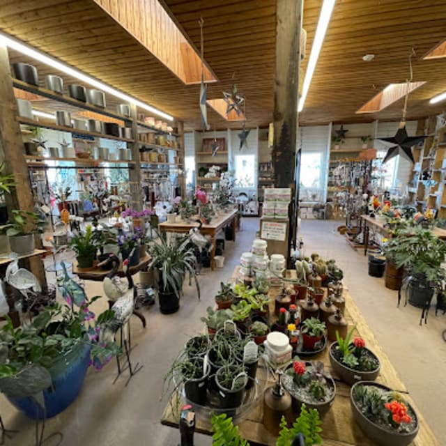 Interior of Swan Lake Market and Garden in Vernon displaying a variety of plants, potted succulents, decorations, and gardening supplies under wooden ceiling beams.