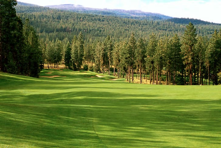 A lush green fairway lined with trees and distant mountains at Gallagher's Canyon Canyon Course in Kelowna.