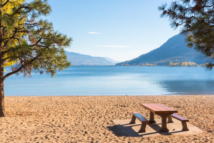 A scenic view of a sandy beach with a picnic table under a tree, overlooking a calm lake surrounded by mountains in Summerland.