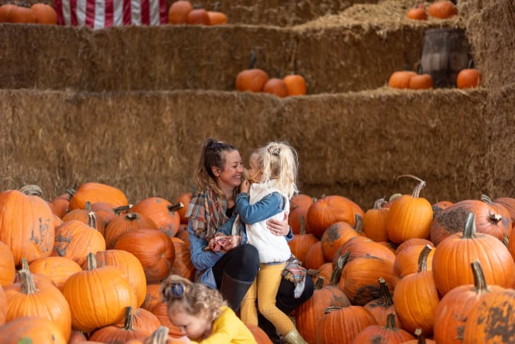 Top Fall Attractions in Kamloops