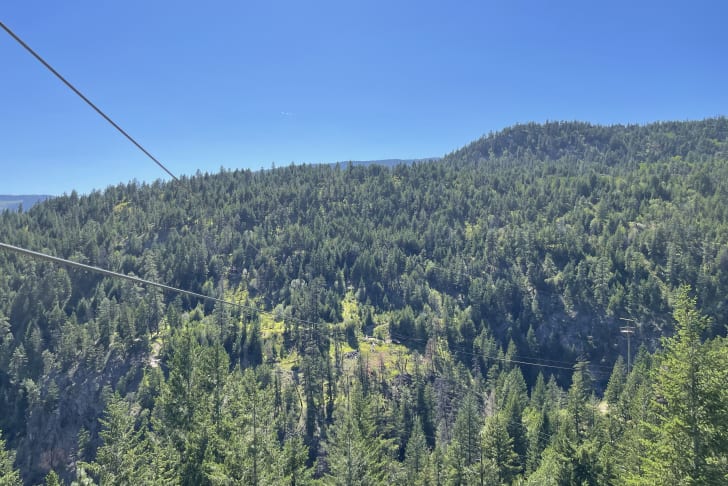 Unleashing Adventure at ZipZone: Thrilling Zipline Park