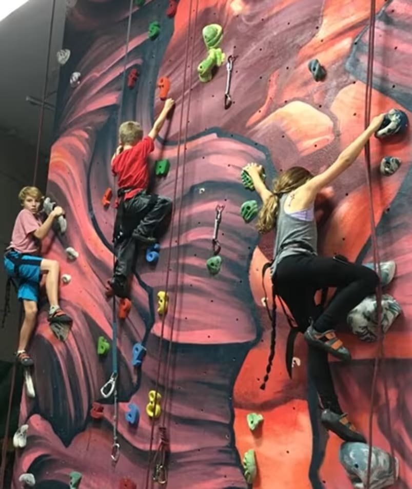 a group of people climbing up the side of a wall with climbing ropes on it and climbing balls on the side of the wall.