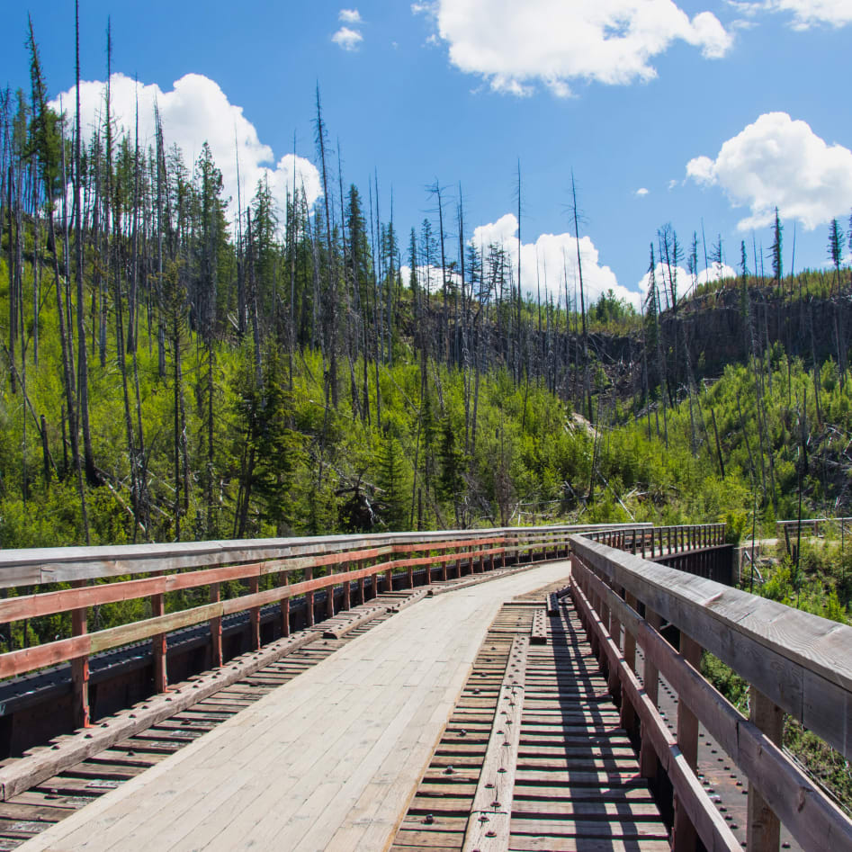 A wooden bridge with railings surrounded by trees and hills under a blue sky with white clouds in Kelowna.