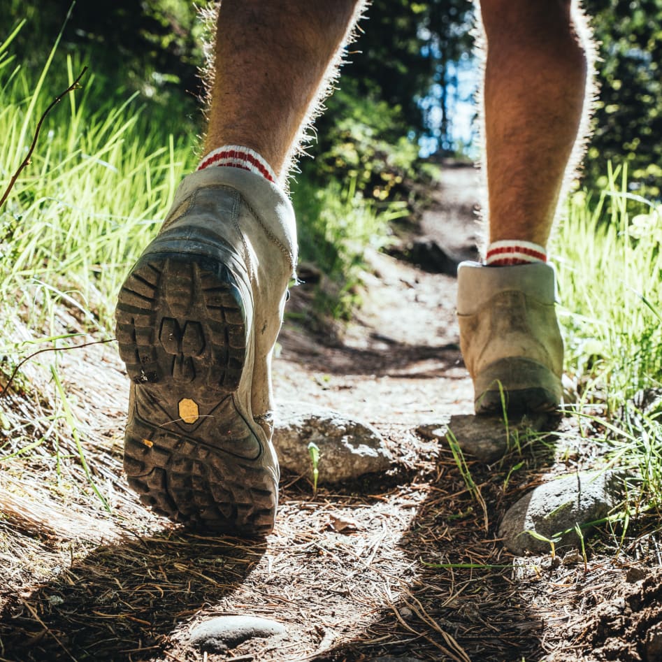 Best Hiking Trails Around Revelstoke