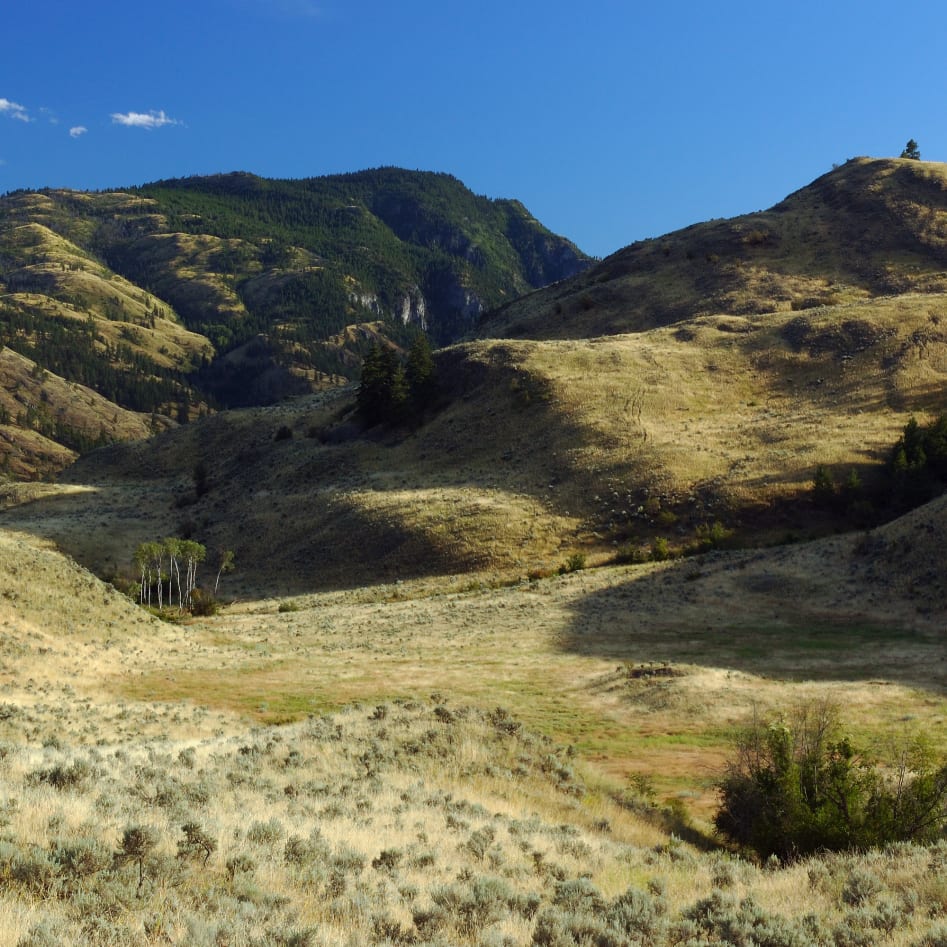 A scenic view of the rolling hills and valleys of Osoyoos under a clear blue sky, with patches of greenery and shadows cast by the terrain.
