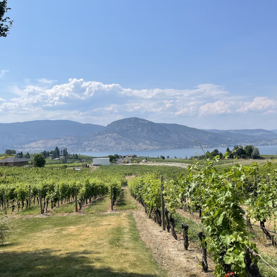 Top 10 Must-Visit Wineries in Penticton