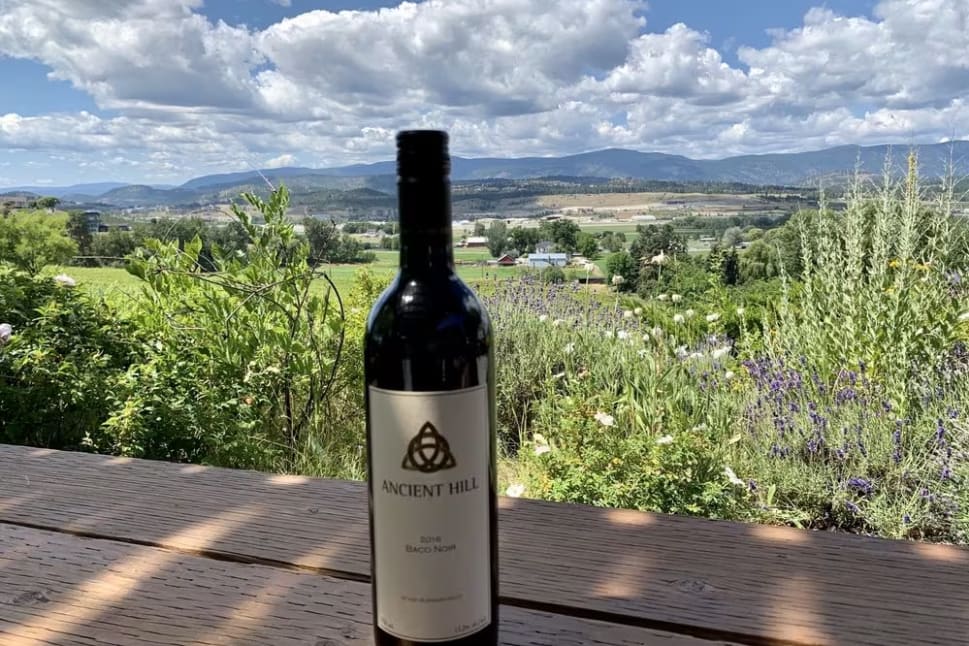 Ancient Hill Estate Winery 2018 Baco Noir bottle in front of a farmland landscape
