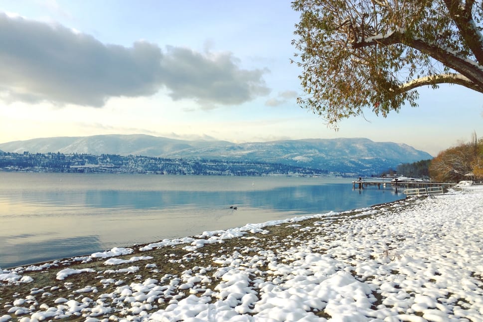 A winter shoreline in Kelowna with snow-covered sand, a tree on the right, calm water, and snowy mountains in the background.
