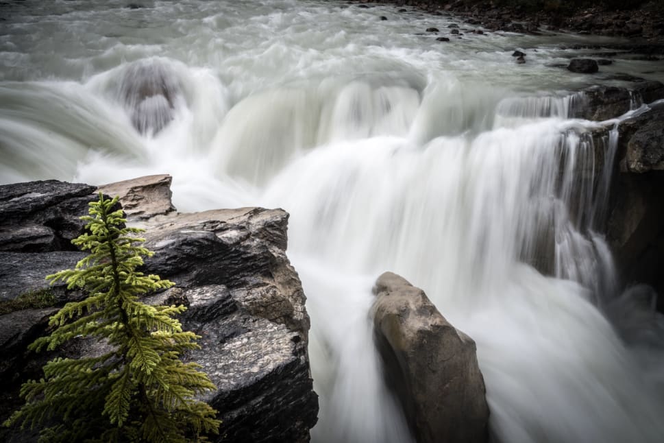 A vibrant green pine tree stands on rocky terrain beside a powerful waterfall with cascading water in Kelowna.