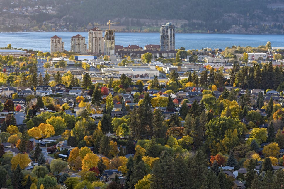 Aerial view of the colorful autumn landscape in Kelowna, with houses scattered amidst vibrant trees and tall buildings in the background near a large body of water.
