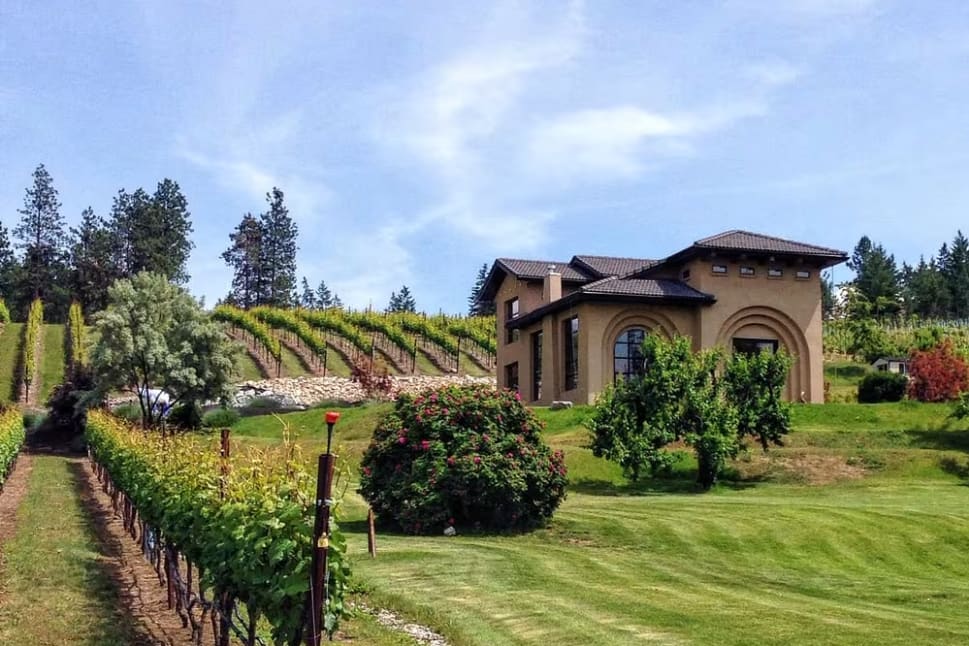 A scenic view of Ex Nihilo Vineyards in Lake Country featuring grapevines, a lawn, and a beige building under a bright blue sky.
