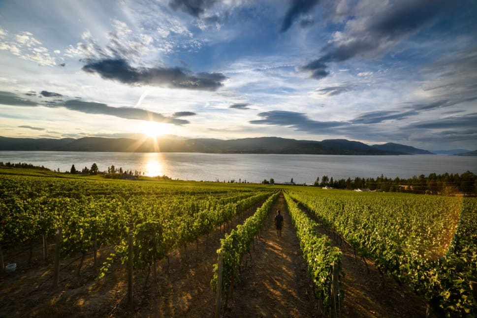 Winery at sunset.