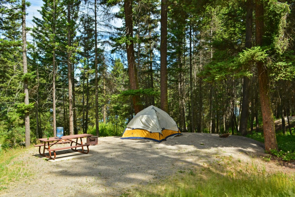 A campsite in a forest with a yellow and grey tent next to a picnic table.