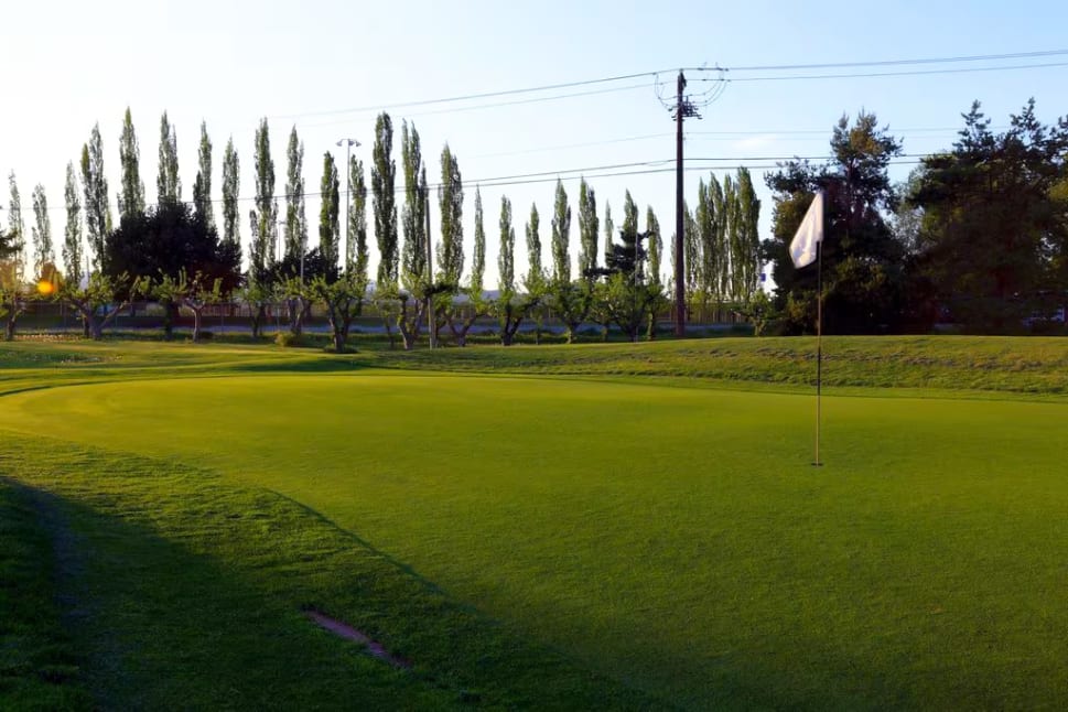 a view of a golf green with a flag in the foreground and several trees in the background